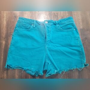 Women's Size Large Teal Turquoise Denim Jean Shorts